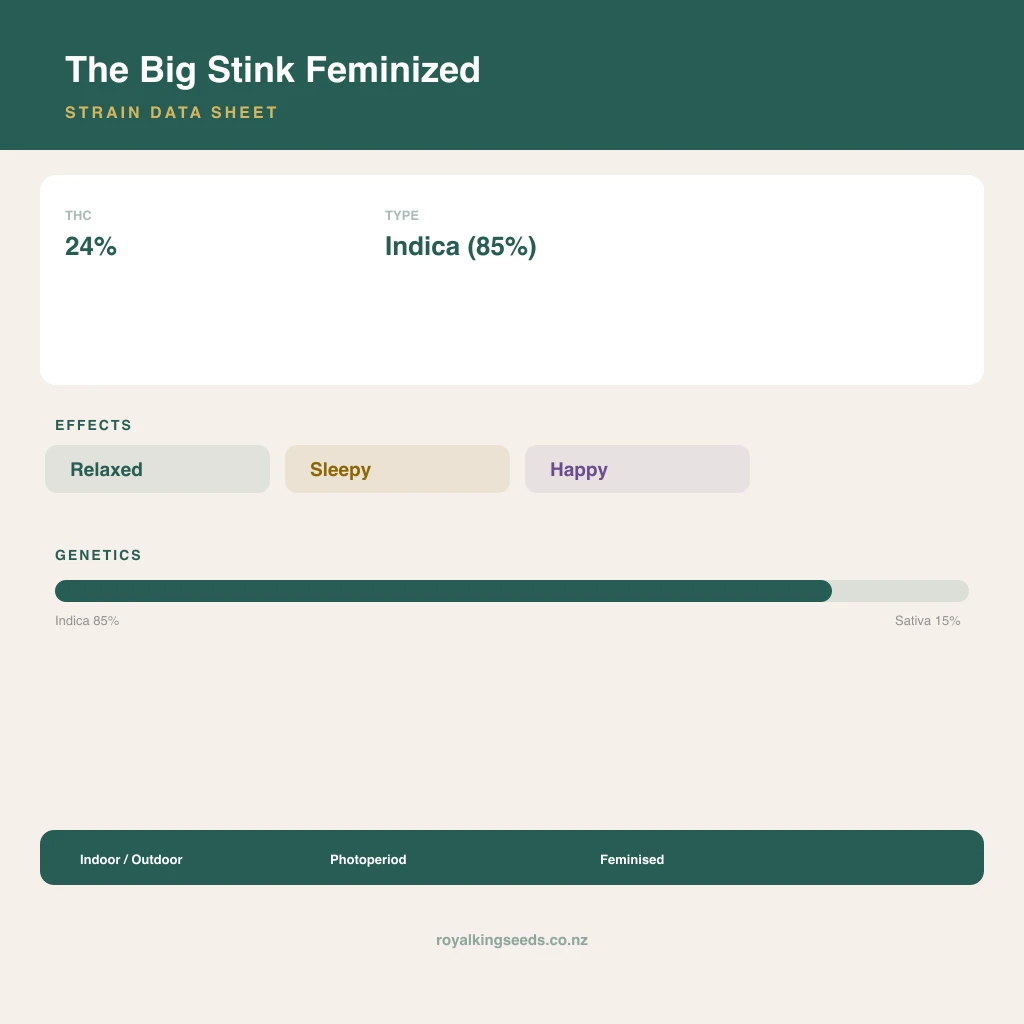 The Big Stink 85% indica / 15% sativa flower with visible trichomes