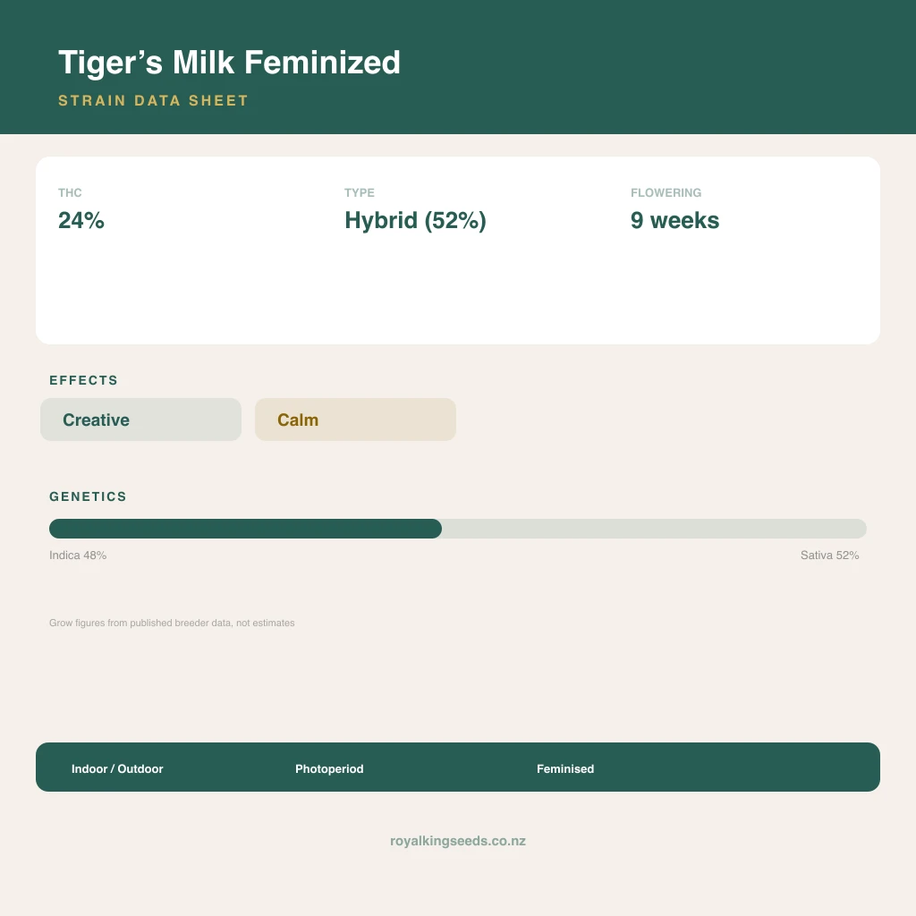 Tiger’s Milk 48% indica / 52% sativa flower with visible trichomes