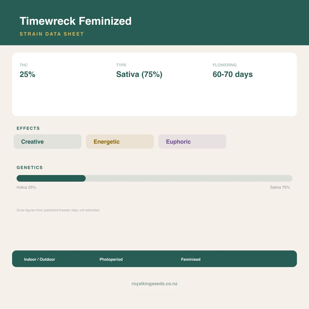 Timewreck 25% indica / 75% sativa flower with visible trichomes