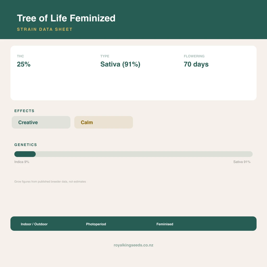 Tree of Life 9% indica / 91% sativa flower with visible trichomes