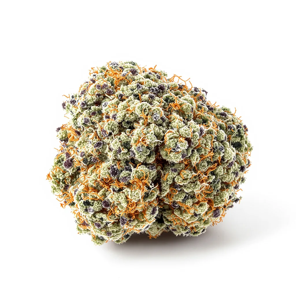 Tropicana Cookies 40% indica / 60% sativa flower with visible trichomes