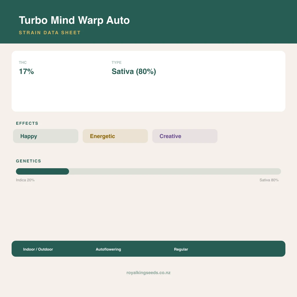 Turbo Mind Warp 20% indica / 80% sativa flower with visible trichomes
