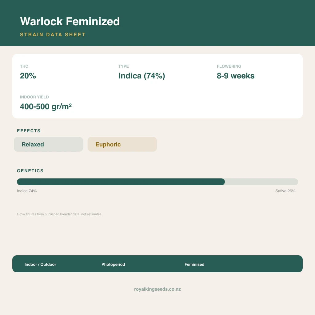 Warlock 74% indica / 26% sativa flower with visible trichomes