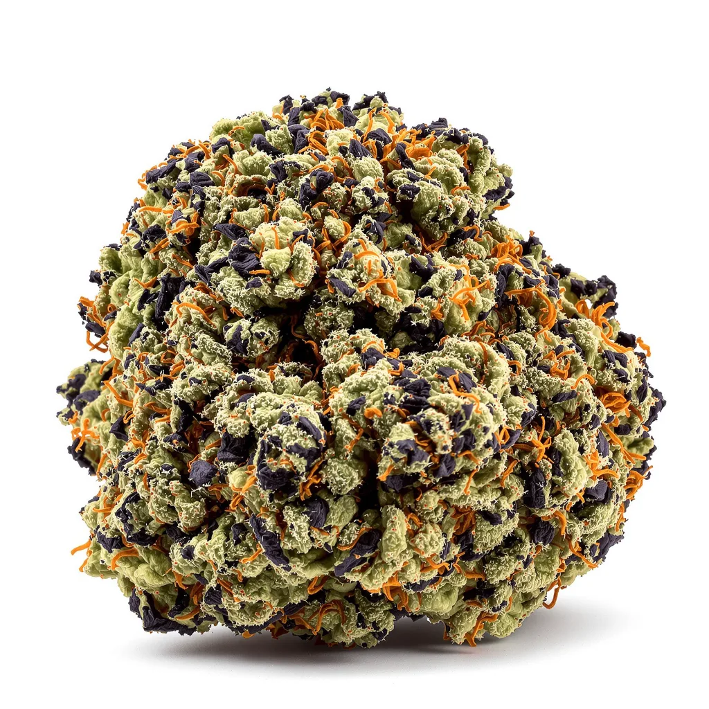 Watermelon 80% indica / 20% sativa flower with visible trichomes