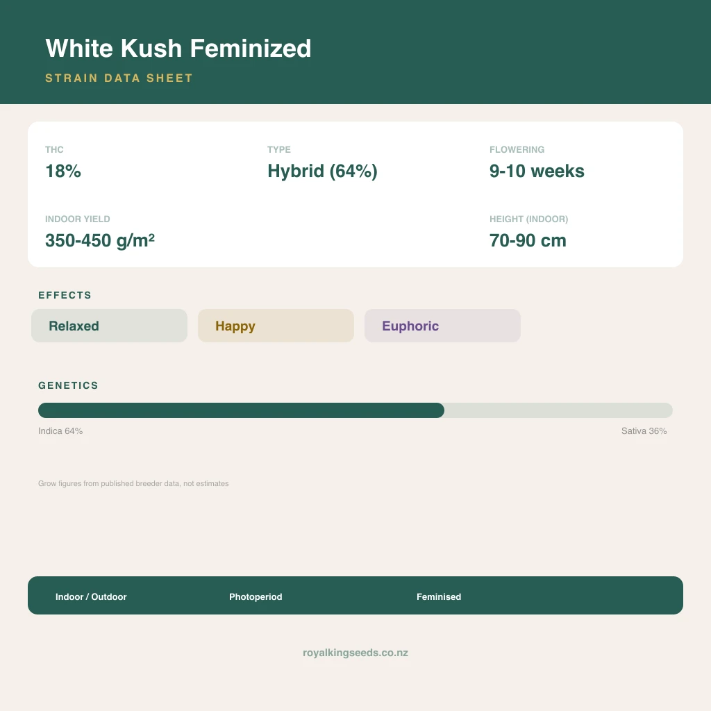 White Kush 64% indica / 36% sativa flower with visible trichomes