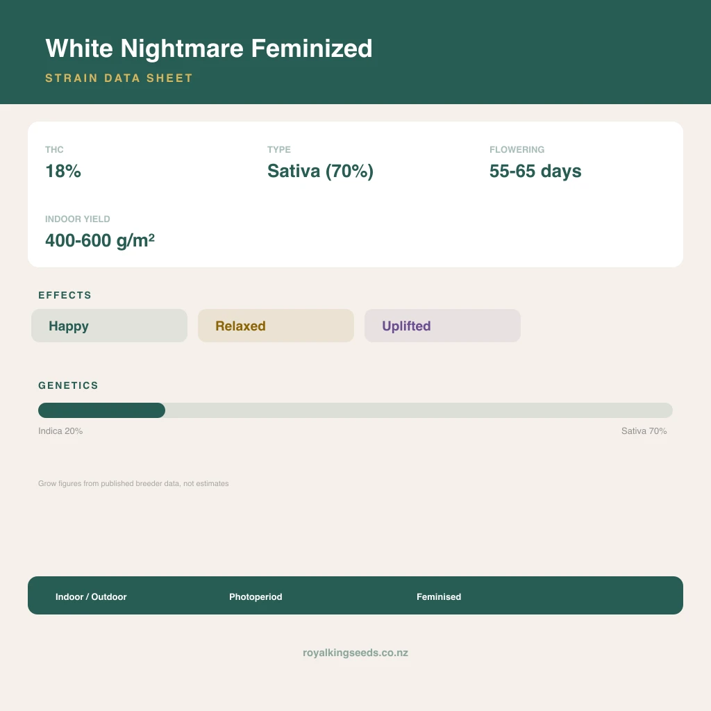 White Nightmare 20% indica / 70% sativa flower with visible trichomes