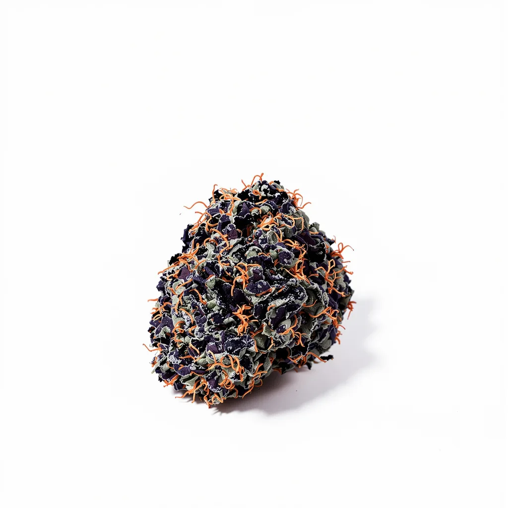 White Rhino 90% indica / 50% sativa flower with visible trichomes