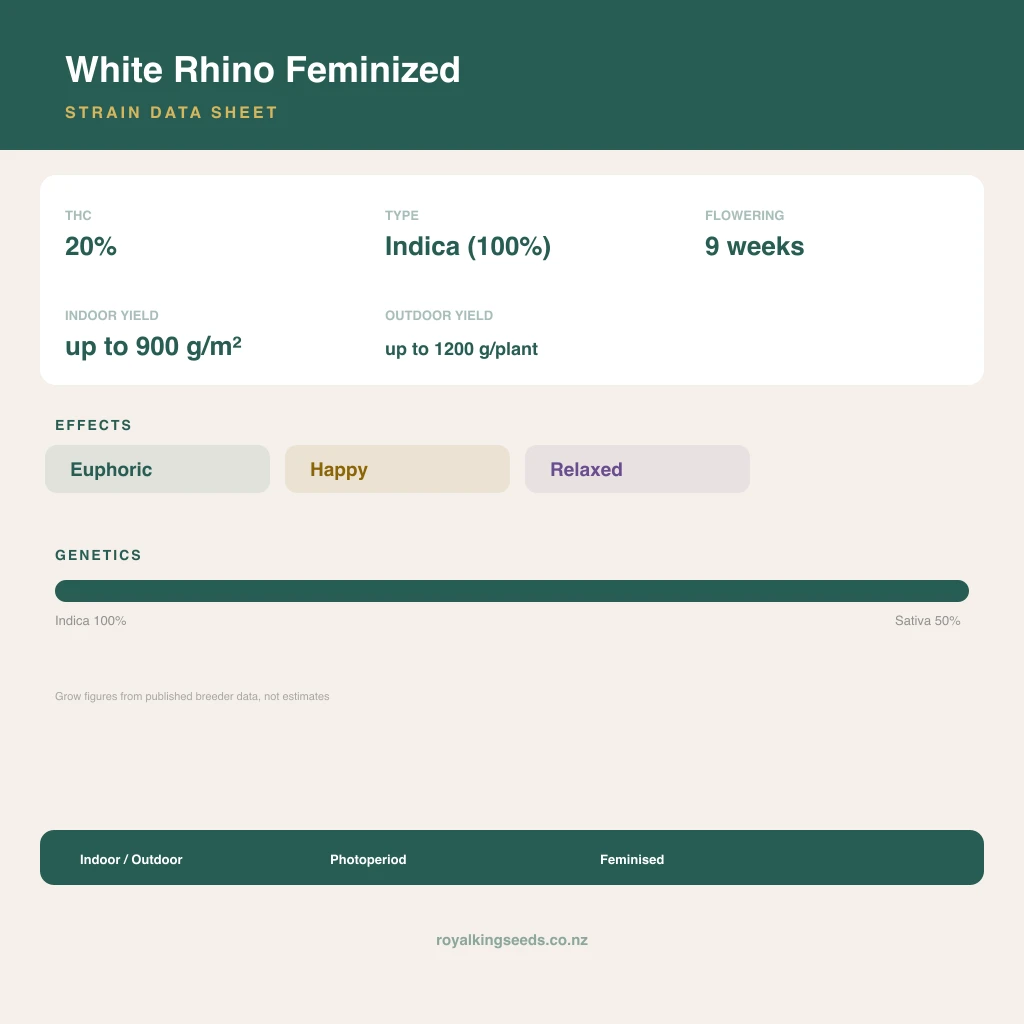 White Rhino 100% indica / 50% sativa flower with visible trichomes