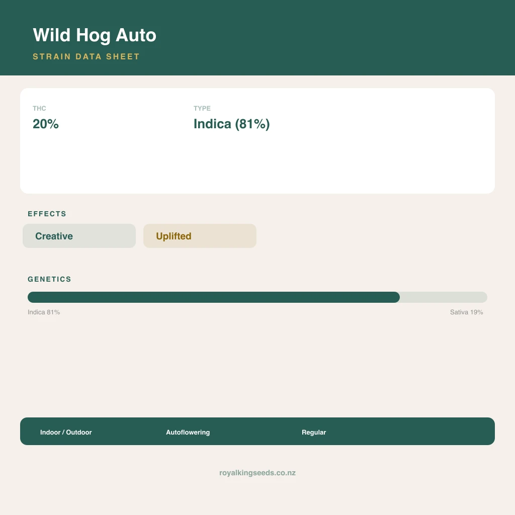 Wild Hog 81% indica / 19% sativa flower with visible trichomes