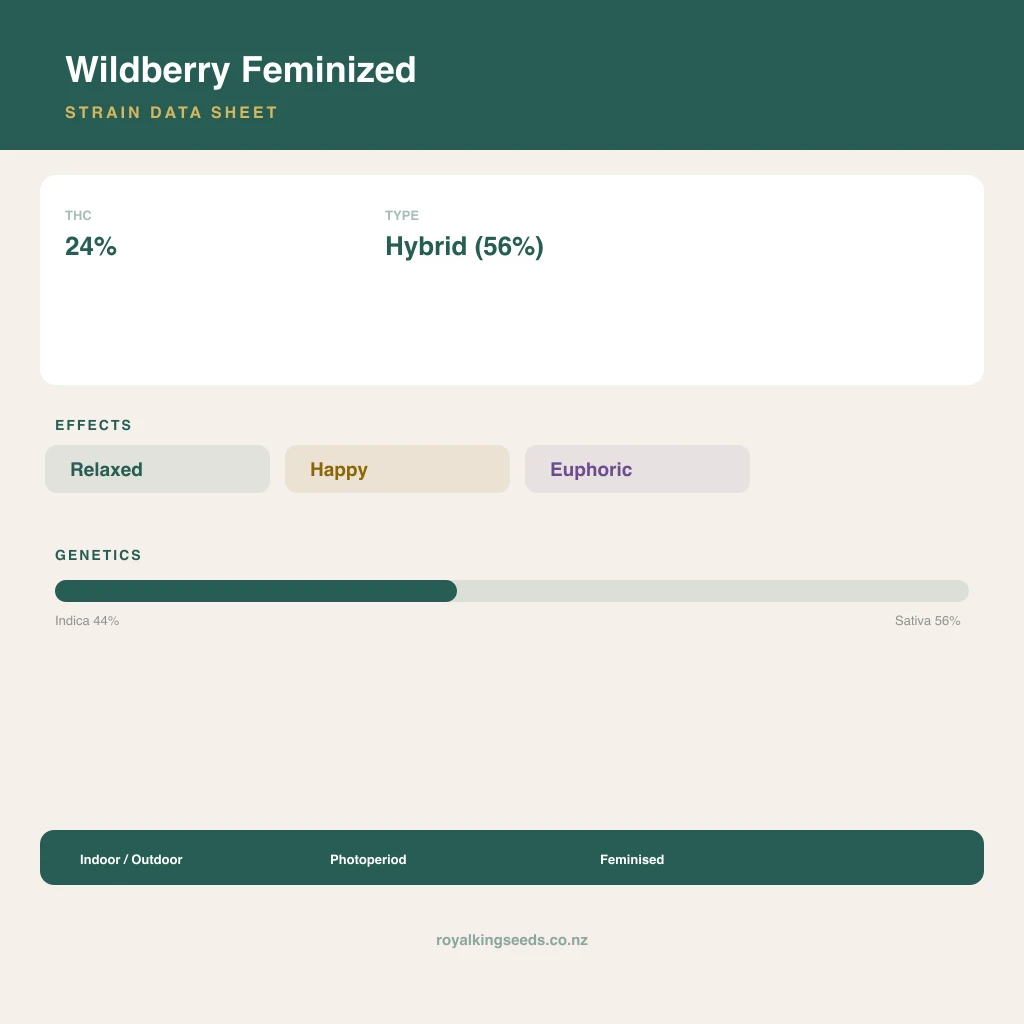 Wildberry 44% indica / 56% sativa flower with visible trichomes