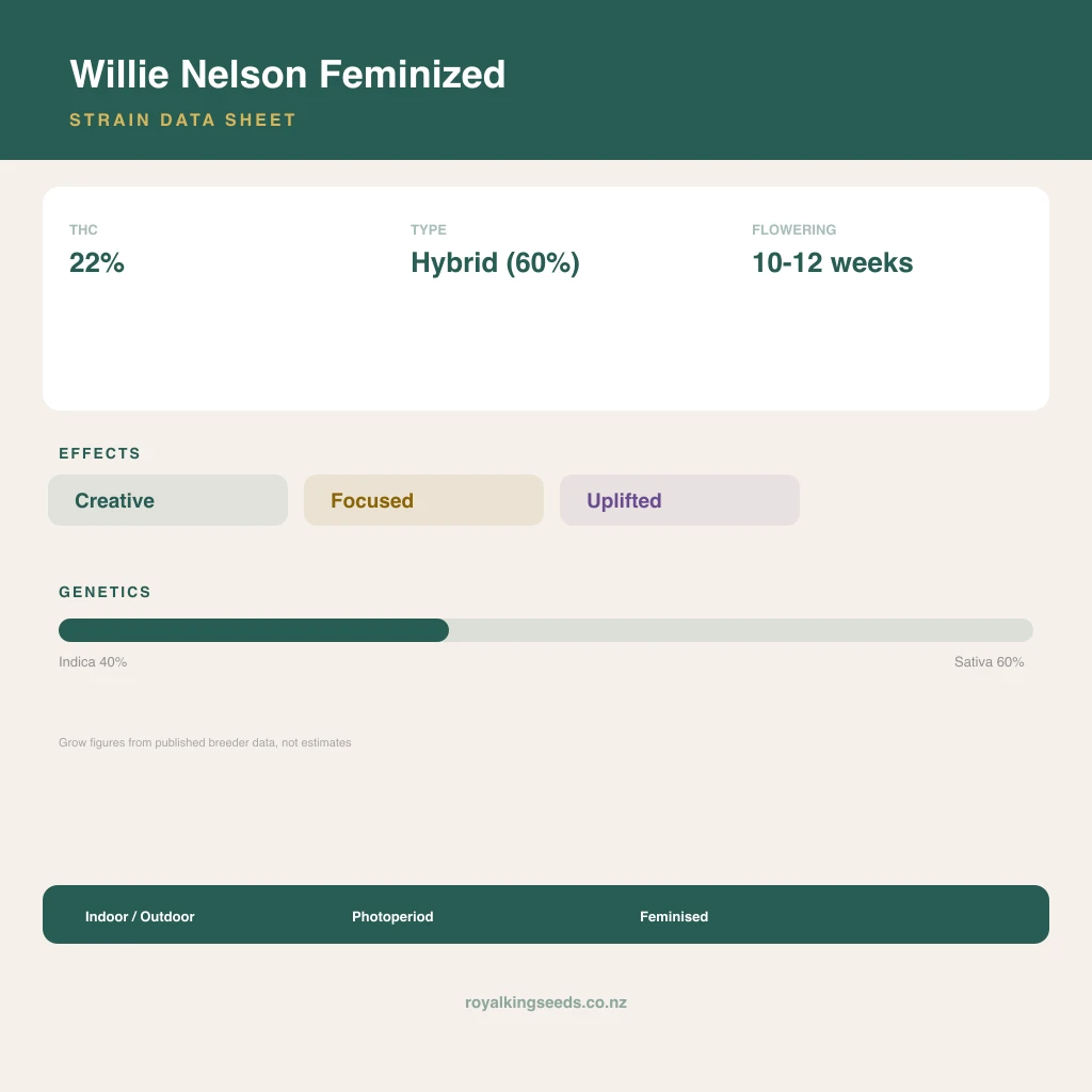 Willie Nelson 40% indica / 60% sativa flower with visible trichomes